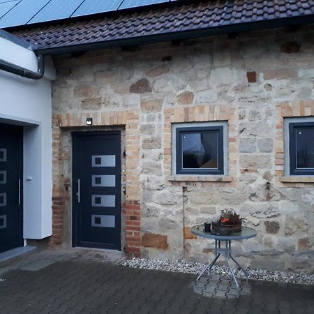 Ferienwohnung Gaensebluemchen Wartenburg Ngoại thất bức ảnh