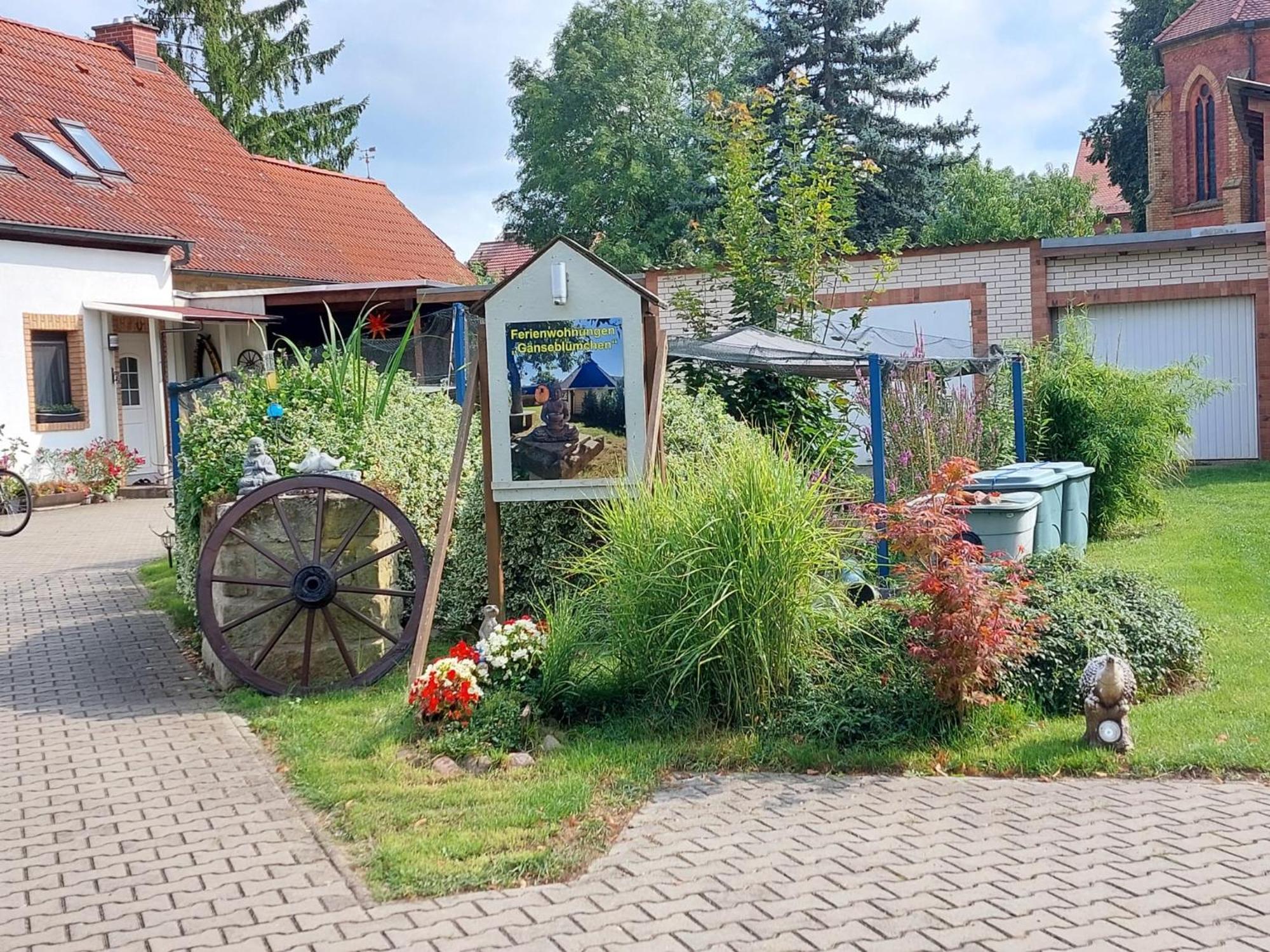 Ferienwohnung Gaensebluemchen Wartenburg Ngoại thất bức ảnh